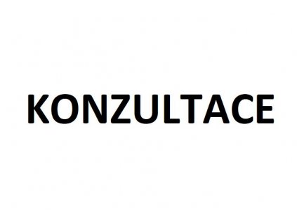 KONZULTACE
