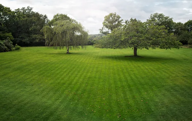 Volitelný vzor sečení