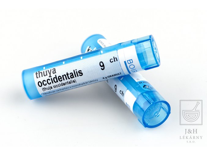 Thuya Occidentalis CH9 gra.4g