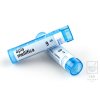 Apis Mellifica CH9 gra.4g