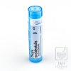 Thuya Occidentalis CH9 gra.4g