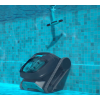 Dolphin LIBERTY 300