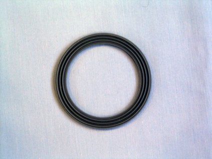 KW675702