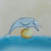 Pexeso III delfin