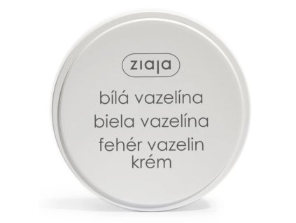 Snímek obrazovky 2024 12 03 v 10.44.09
