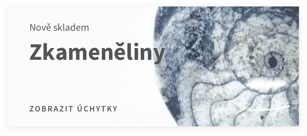 Zkameněliny