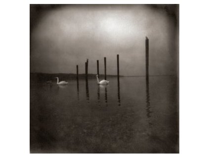 Om - Conference Of The Birds