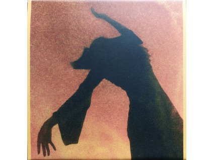 Spellling - Mazy Fly