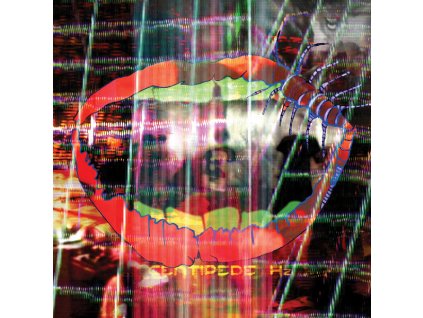 Animal Collective - Centipede Hz