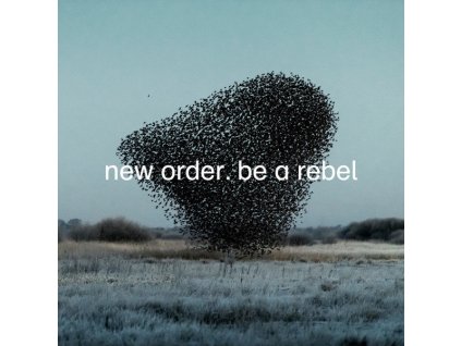 New Order - Be A Rebel