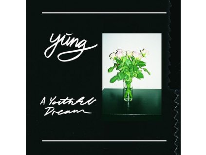 Yung - A Youthful Dream