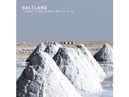 Saltland - I Thought It Was Us But It Was All Of Us