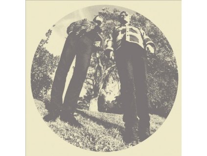 Ty Segall & White Fence - Hair