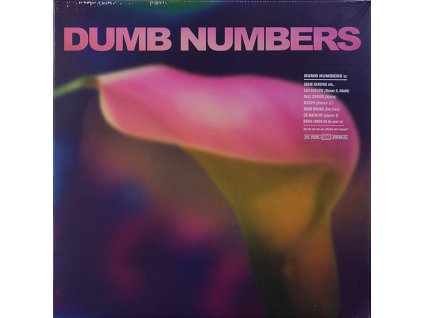Dumb Numbers - Dumb Numbers