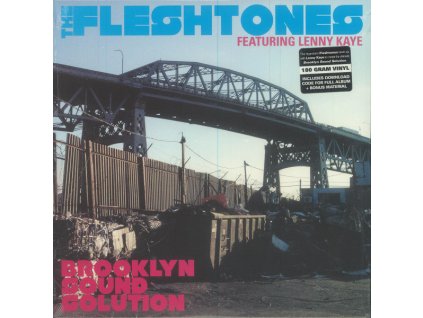 The Fleshtones Featuring Lenny Kaye - Brooklyn Sound Solution