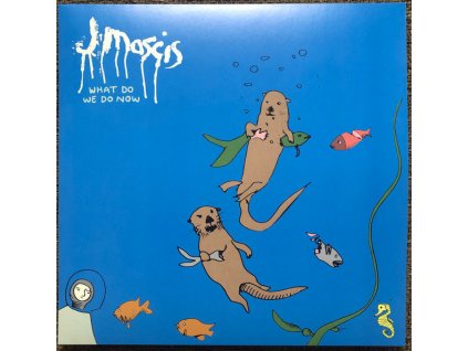 J Mascis - What Do We Do Now