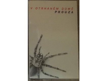 Prouza - V Otrhaném Domě
