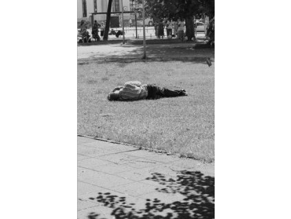 Self Defense Family - Heaven Is Earth