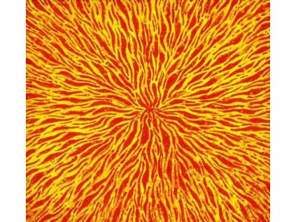 Cars & Trains - We Are All Fire