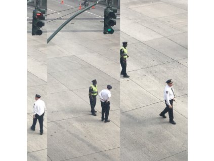 Plusminusnula* - Nový Zprávy Žádný