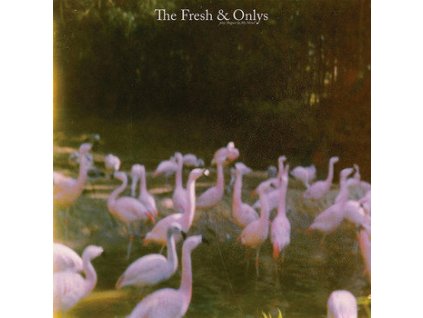 The Fresh & Onlys - August In My Mind