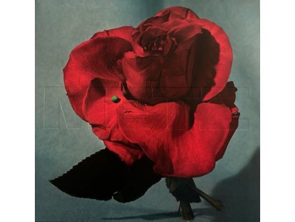 Metz - Up On Gravity Hill