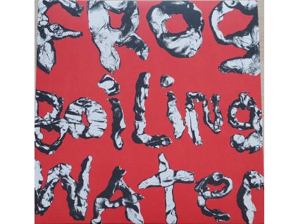 DIIV - Frog In Boiling Water