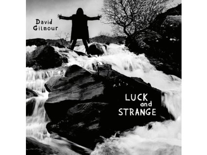 David Gilmour - Luck And Strange
