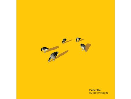 Coco Mosquito - L'After Life