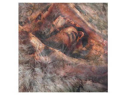 Converge - Unloved And Weeded Out