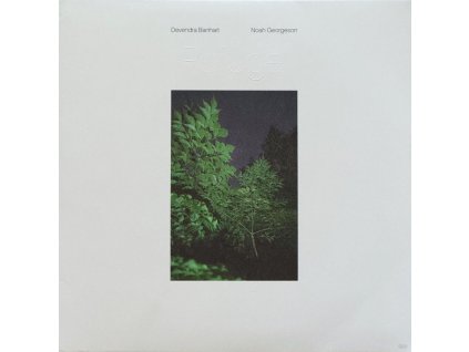 Devendra Banhart, Noah Georgeson - Refuge