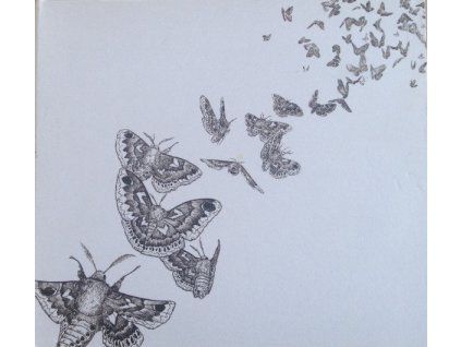 Des Ark - Everything Dies