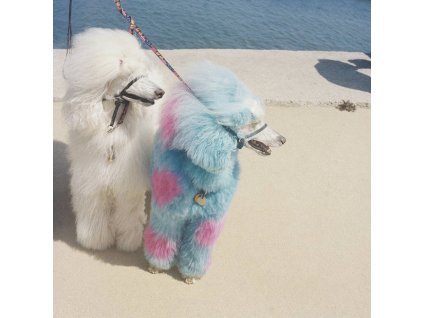 Exek - Advertise Here