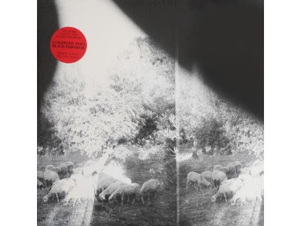 Godspeed You! Black Emperor* - Asunder, Sweet And Other Distress