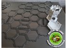1 narozeninyF