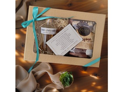 image Pippit 202602041548