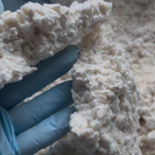 Zázrak jménem KOJI