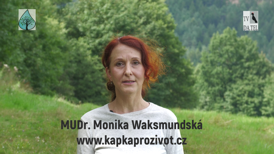 Léčivé vibrace - aneb jiná cesta ke zdraví - MUDr. Monika Waksmundská
