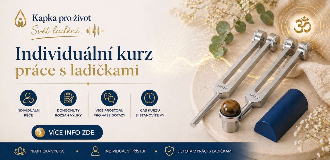 Nyní možný i individuální kurz - praktické využití ladiček