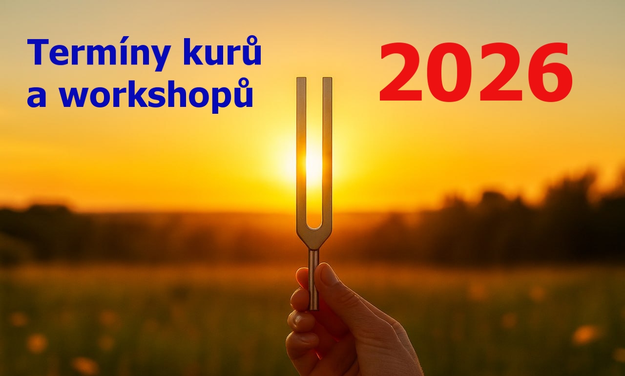 Přijďte na seminář o ladičkách