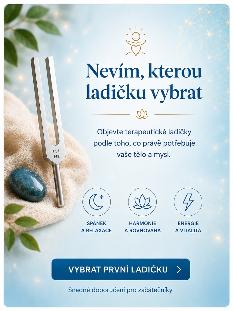 Jak vybrat první ladičku