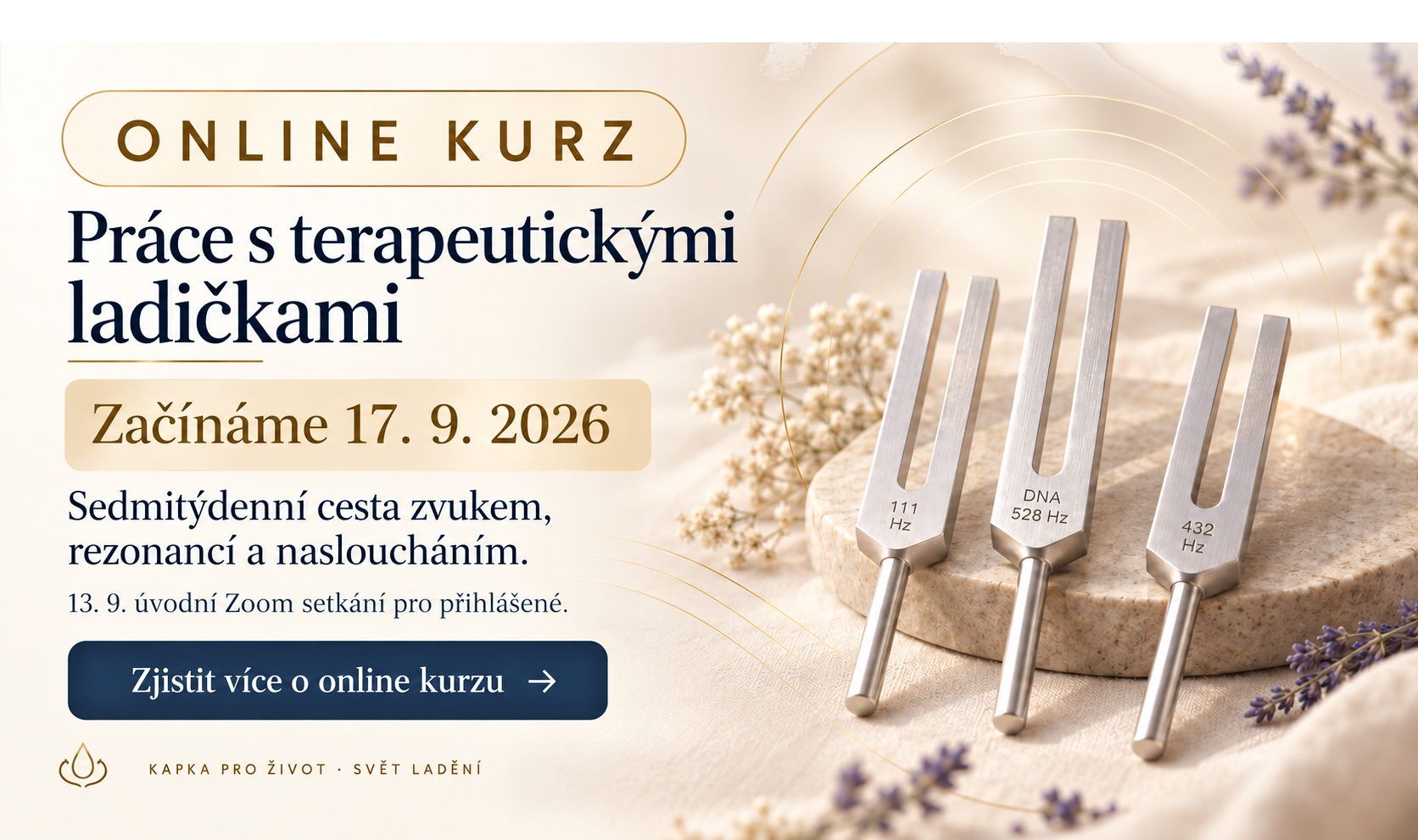 Online kurz