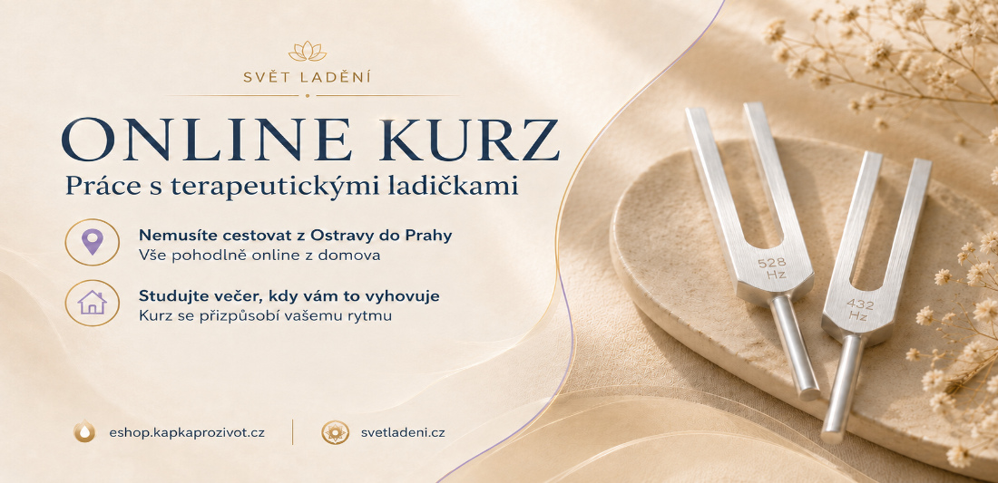 Online kurz