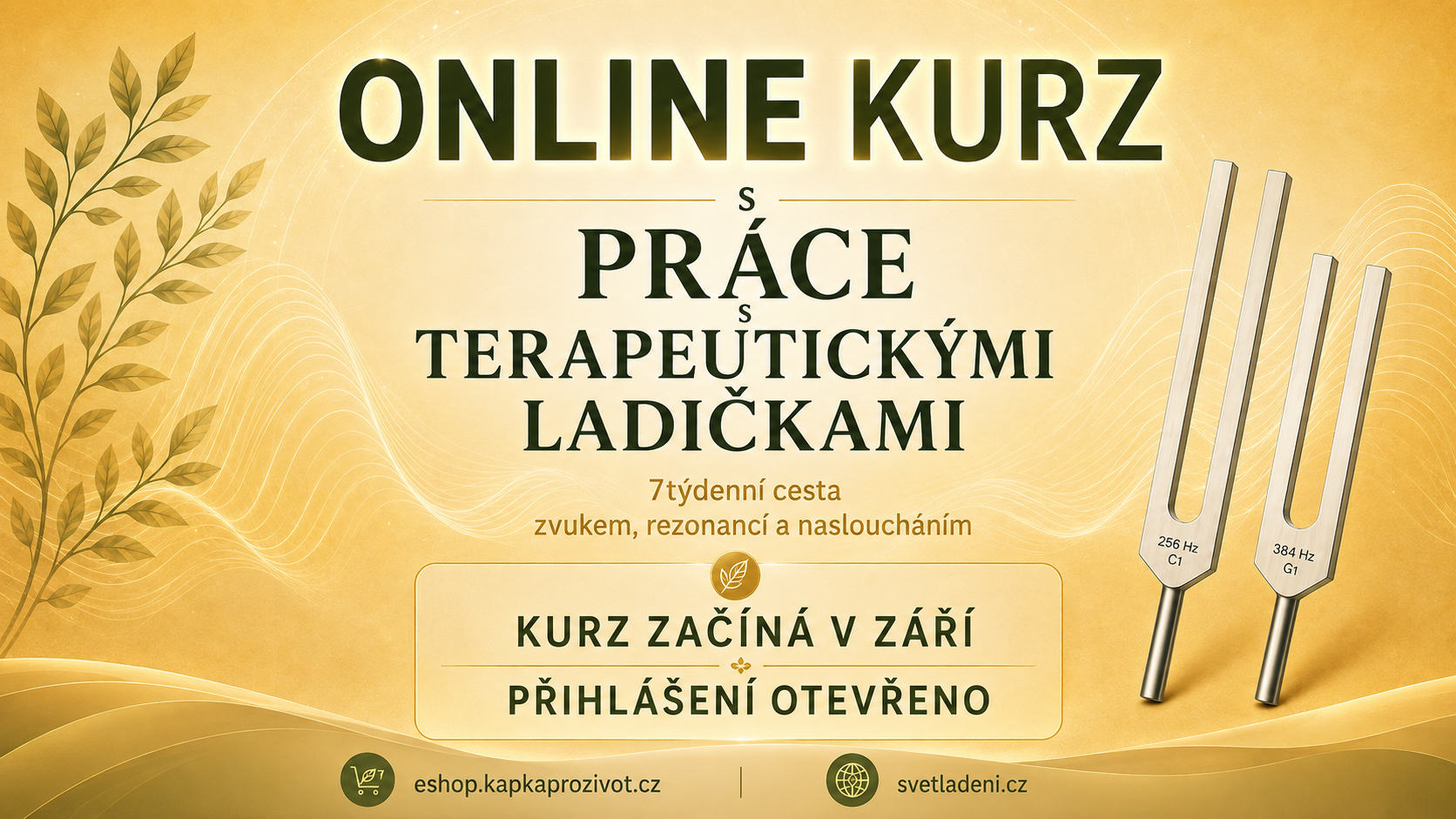 Termín online kurzu se blizi