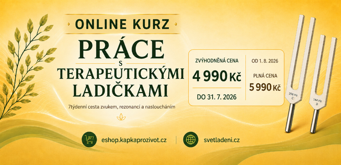 Termín online kurzu se blizi