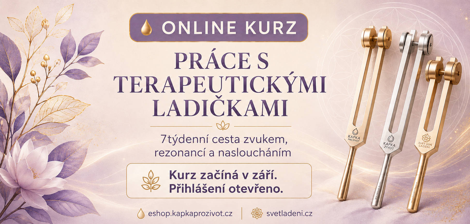 Termín online kurzu se blizi