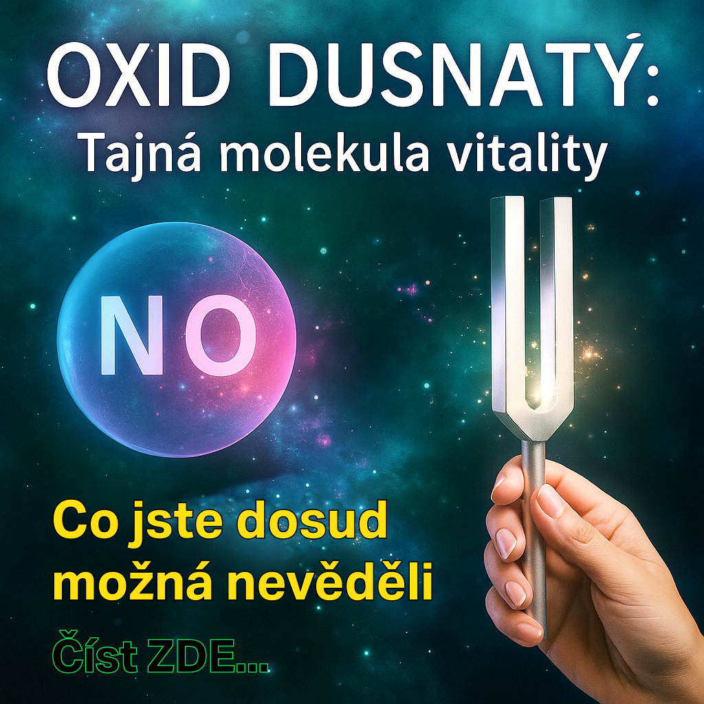 Oxid dusnatý