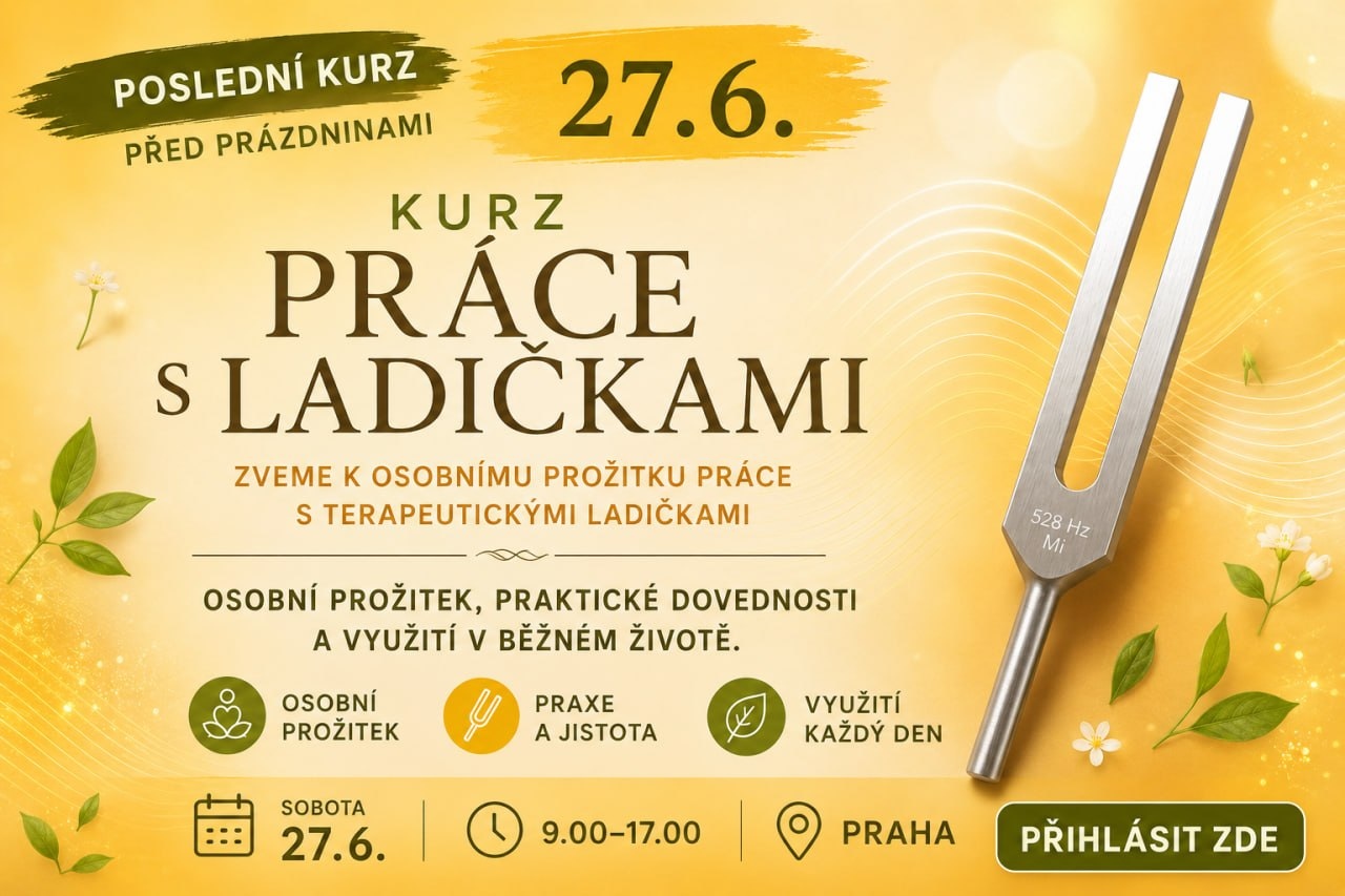 Poslední kurz před létem