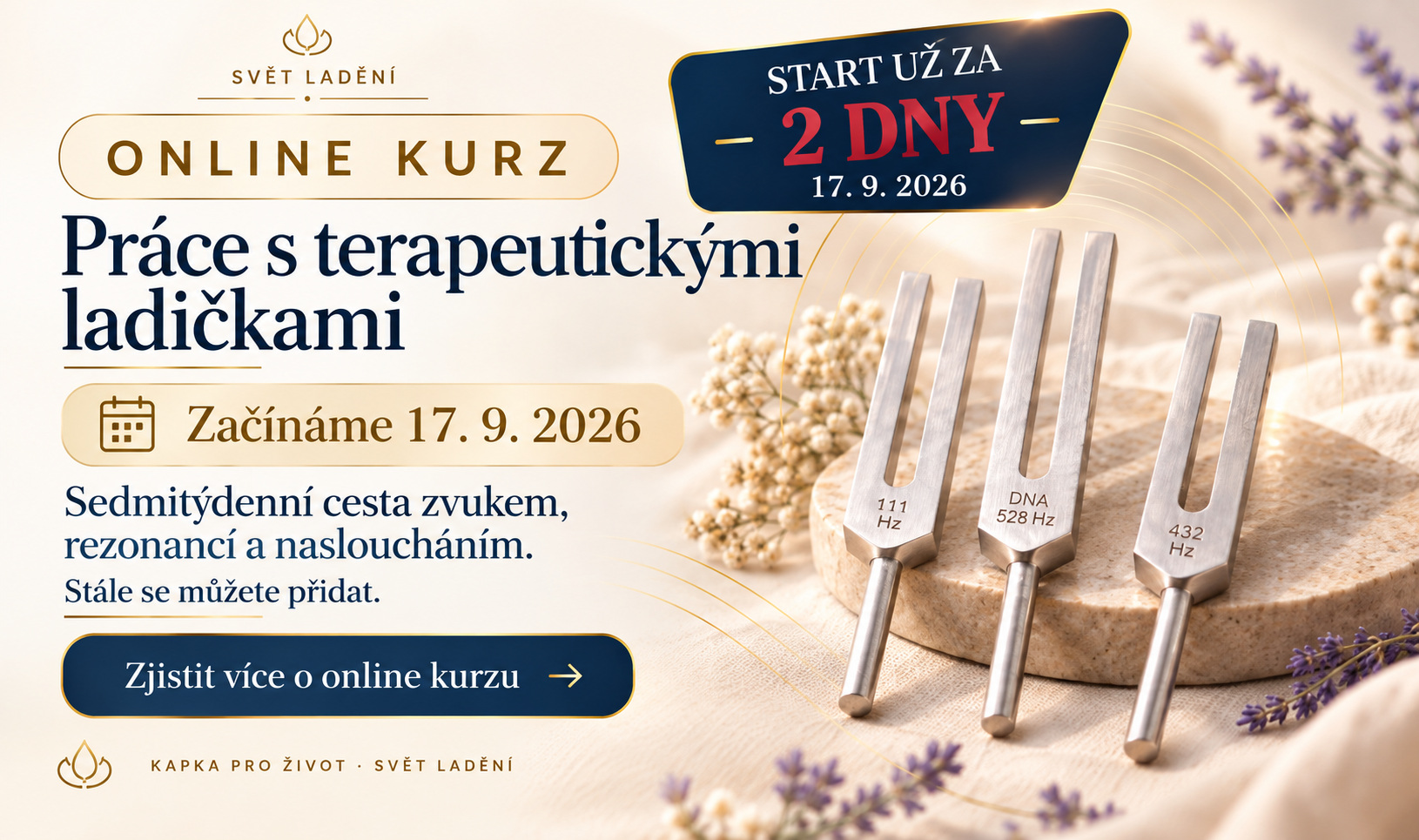 Online kurz