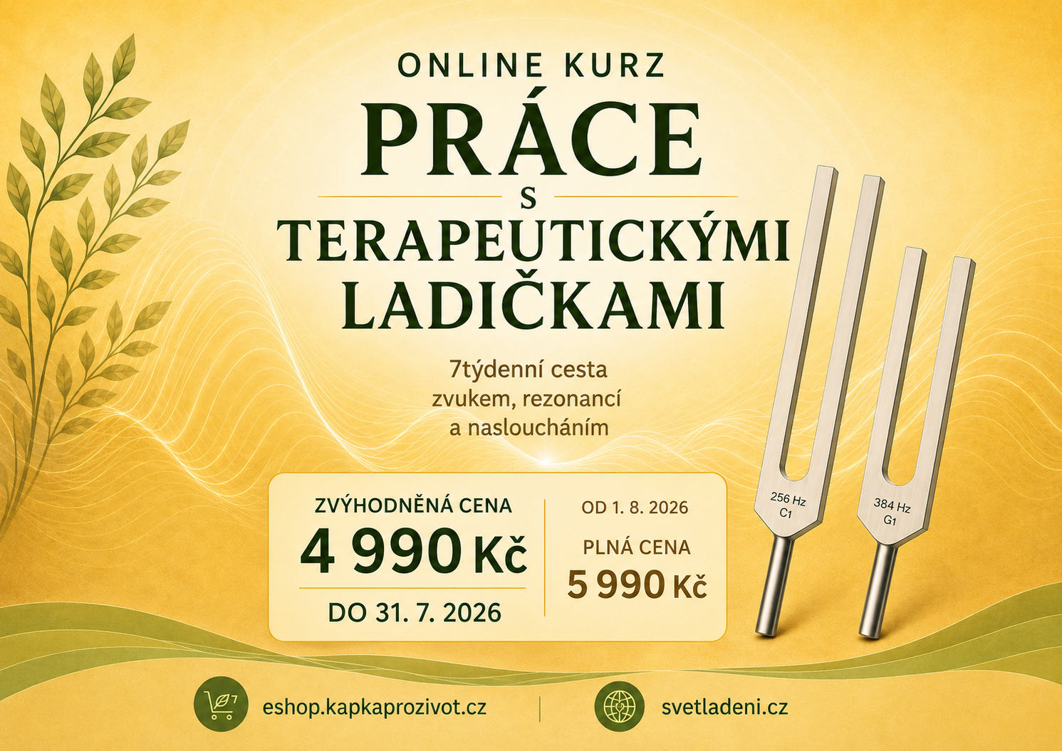 Online kurz práce s terapeutickými ladičkami